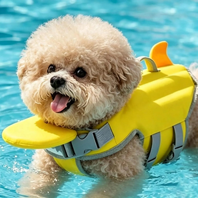 Cachorro poodle nadando feliz na piscina usando colete salva-vidas amarelo